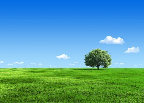 99406719efa042d47cb08f4833a51b1b_1542009840_7398.png